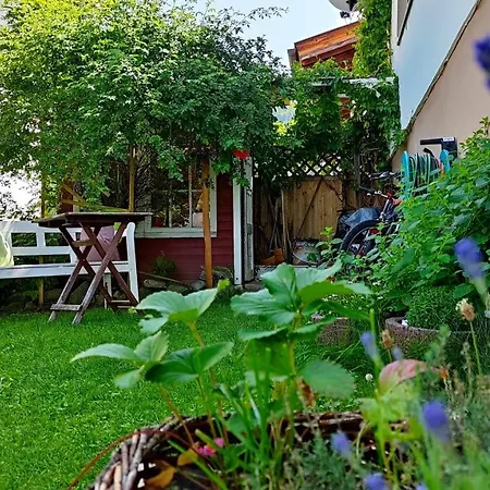 Elisa Apartment *