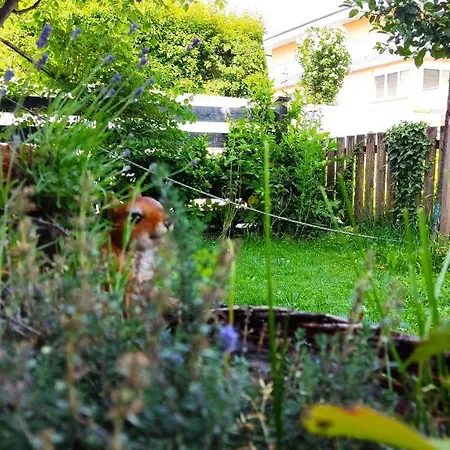 Апартаменти Elisa