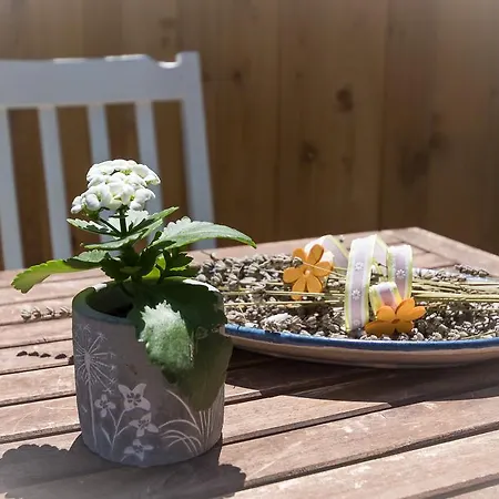 Апартаменти Elisa *