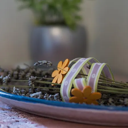 Elisa Appartamento *